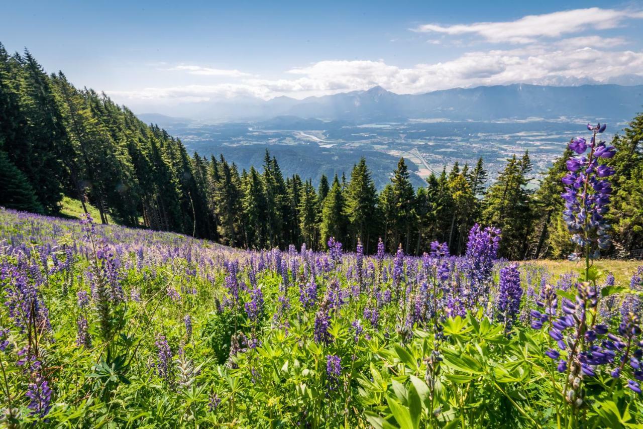 Mooki Mountain & Pool Gerlitzen Apartment Kanzelhohe Экстерьер фото
